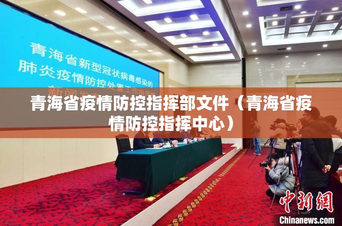 青海省疫情防控指挥部文件（青海省疫情防控指挥中心）
