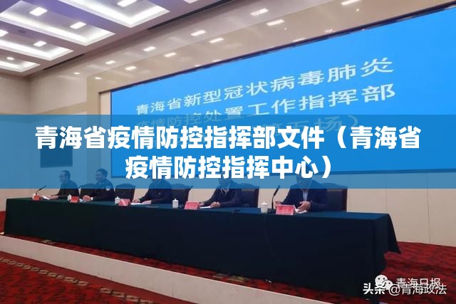 青海省疫情防控指挥部文件（青海省疫情防控指挥中心）