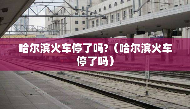 哈尔滨火车停了吗?（哈尔滨火车停了吗）