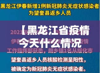 【黑龙江省疫情今天什么情况,黑龙江省疫情今天新增病例】