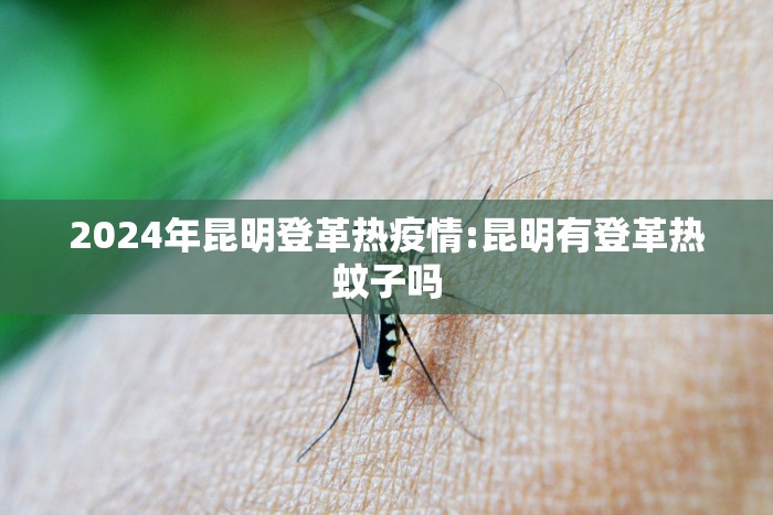 2024年昆明登革热疫情:昆明有登革热蚊子吗