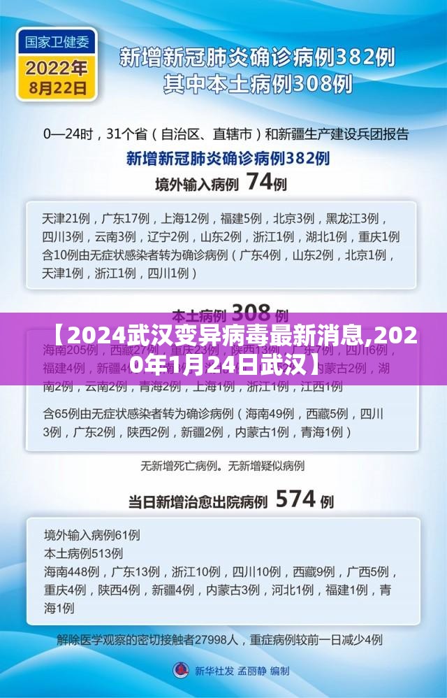 【2024武汉变异病毒最新消息,2020年1月24日武汉】