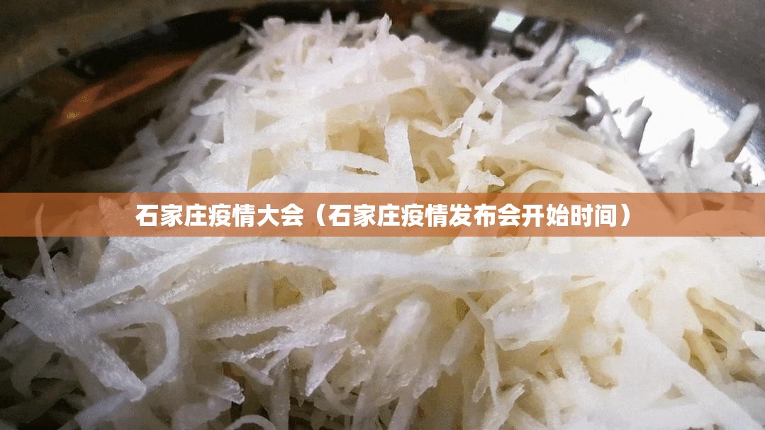 石家庄疫情大会（石家庄疫情发布会开始时间）