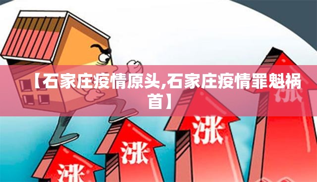 【石家庄疫情原头,石家庄疫情罪魁祸首】