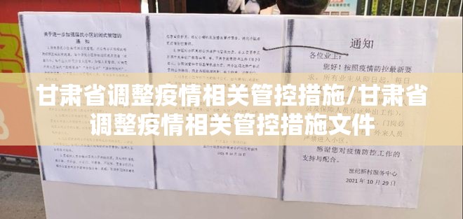 甘肃省调整疫情相关管控措施/甘肃省调整疫情相关管控措施文件