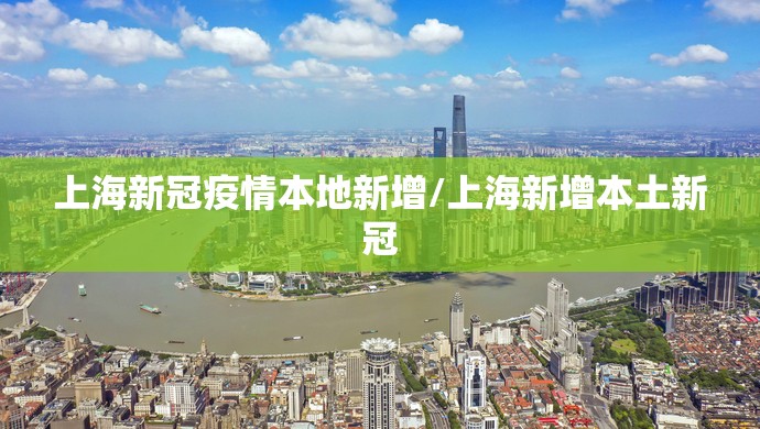 上海新冠疫情本地新增/上海新增本土新冠
