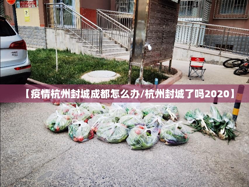 【疫情杭州封城成都怎么办/杭州封城了吗2020】
