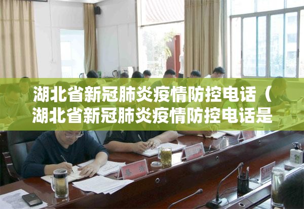 湖北省新冠肺炎疫情防控电话（湖北省新冠肺炎疫情防控电话是多少）