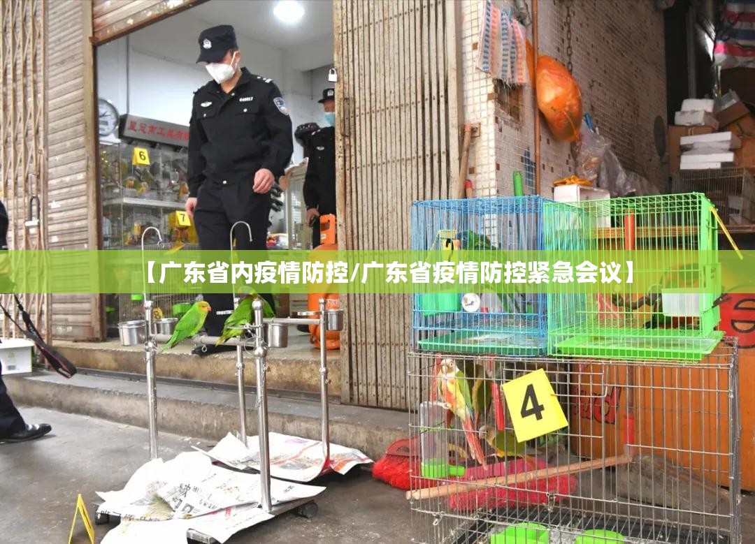 【广东省内疫情防控/广东省疫情防控紧急会议】