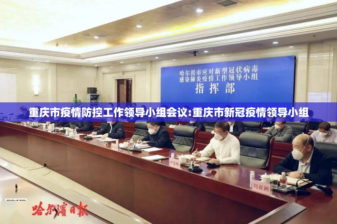 重庆市疫情防控工作领导小组会议:重庆市新冠疫情领导小组