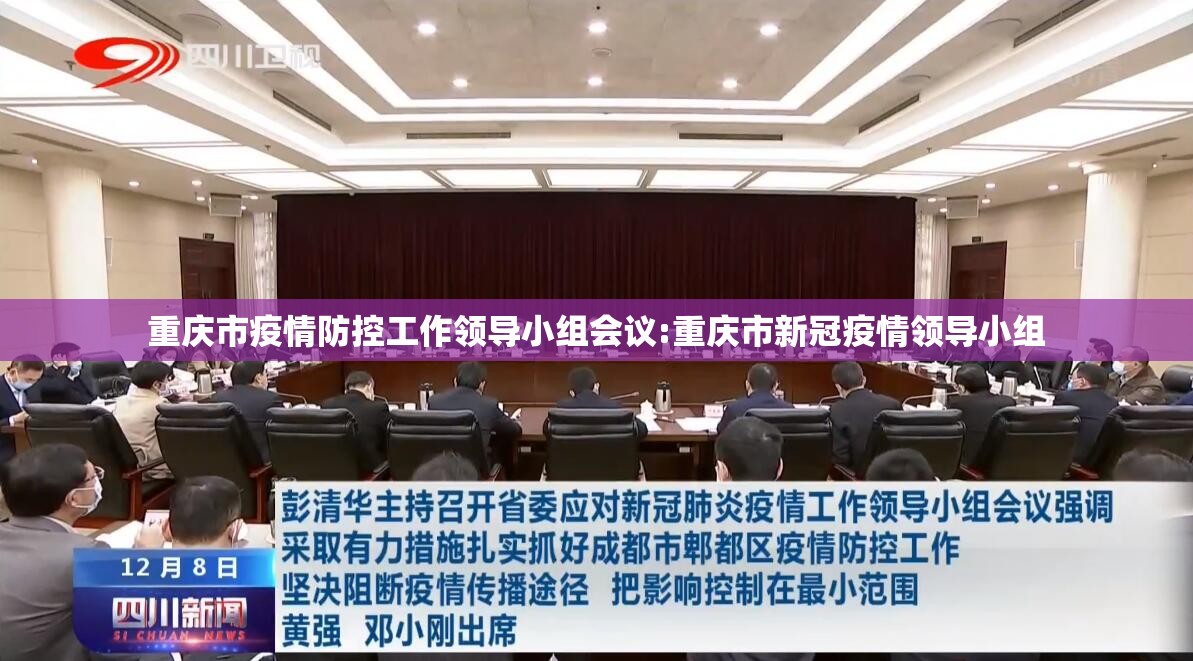 重庆市疫情防控工作领导小组会议:重庆市新冠疫情领导小组
