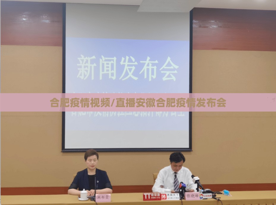 合肥疫情视频/直播安徽合肥疫情发布会
