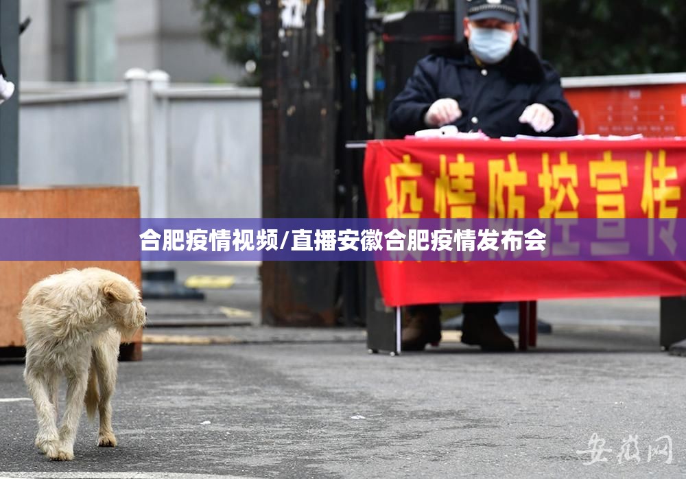 合肥疫情视频/直播安徽合肥疫情发布会