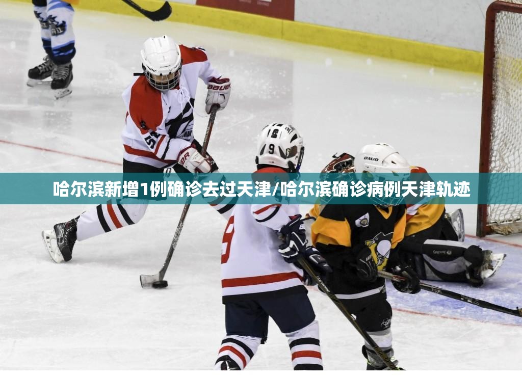 哈尔滨新增1例确诊去过天津/哈尔滨确诊病例天津轨迹
