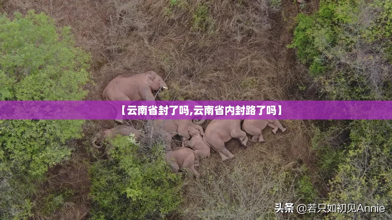 【云南省封了吗,云南省内封路了吗】