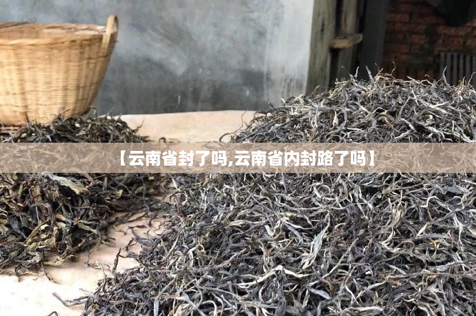 【云南省封了吗,云南省内封路了吗】