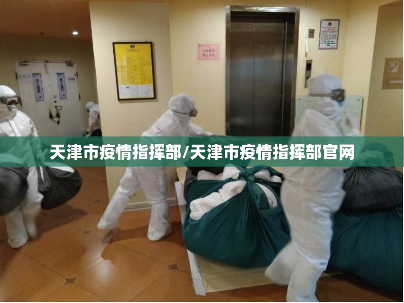 天津市疫情指挥部/天津市疫情指挥部官网