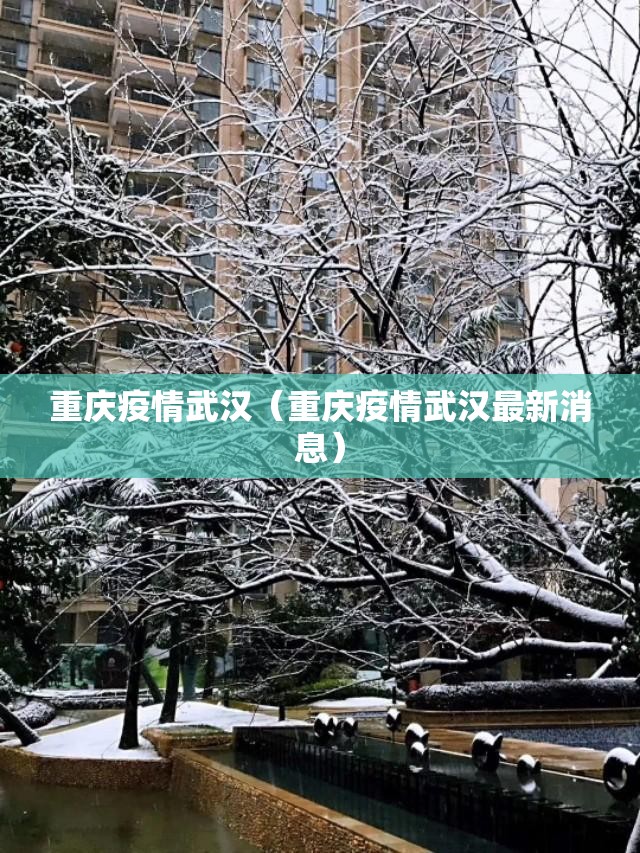 重庆疫情武汉（重庆疫情武汉最新消息）