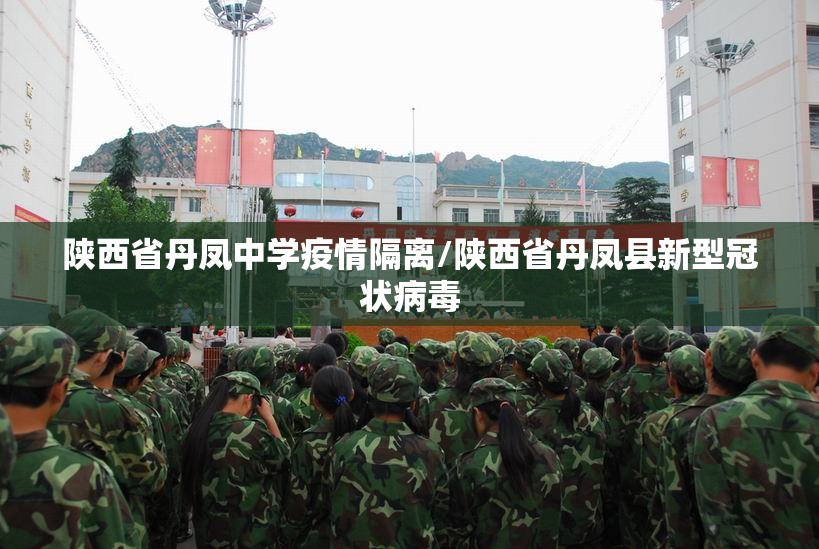 陕西省丹凤中学疫情隔离/陕西省丹凤县新型冠状病毒