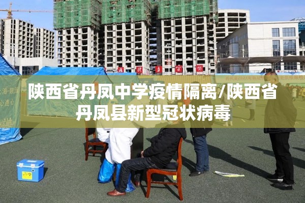陕西省丹凤中学疫情隔离/陕西省丹凤县新型冠状病毒
