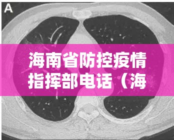 海南省防控疫情指挥部电话（海南省新冠肺炎疫情防控指挥部电话）