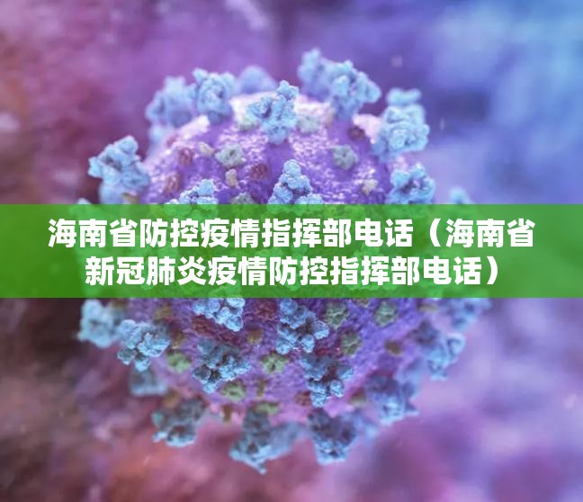 海南省防控疫情指挥部电话（海南省新冠肺炎疫情防控指挥部电话）