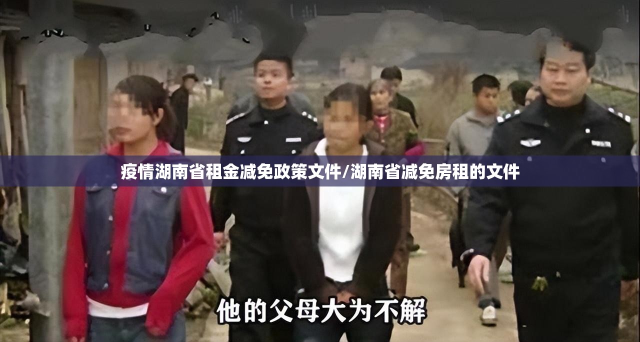 疫情湖南省租金减免政策文件/湖南省减免房租的文件