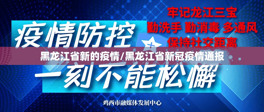 黑龙江省新的疫情/黑龙江省新冠疫情通报