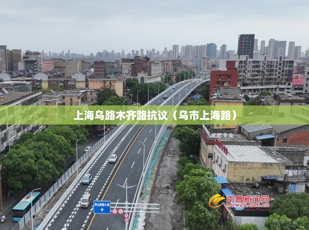 上海乌路木齐路抗议（乌市上海路）