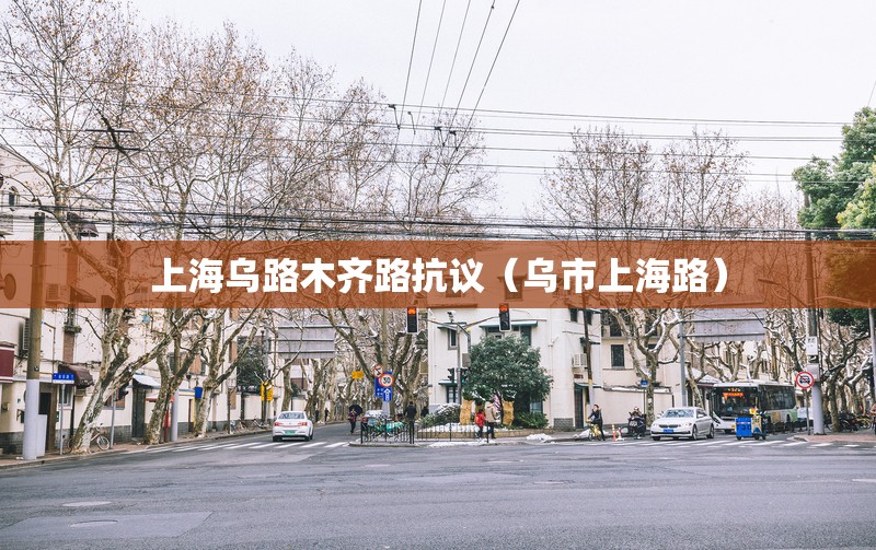 上海乌路木齐路抗议（乌市上海路）