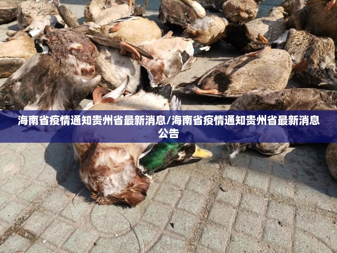海南省疫情通知贵州省最新消息/海南省疫情通知贵州省最新消息公告