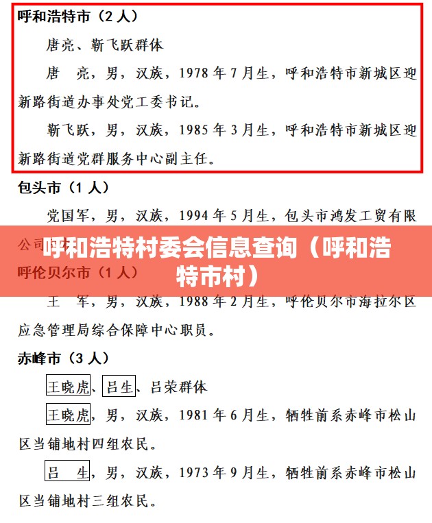 呼和浩特村委会信息查询（呼和浩特市村）