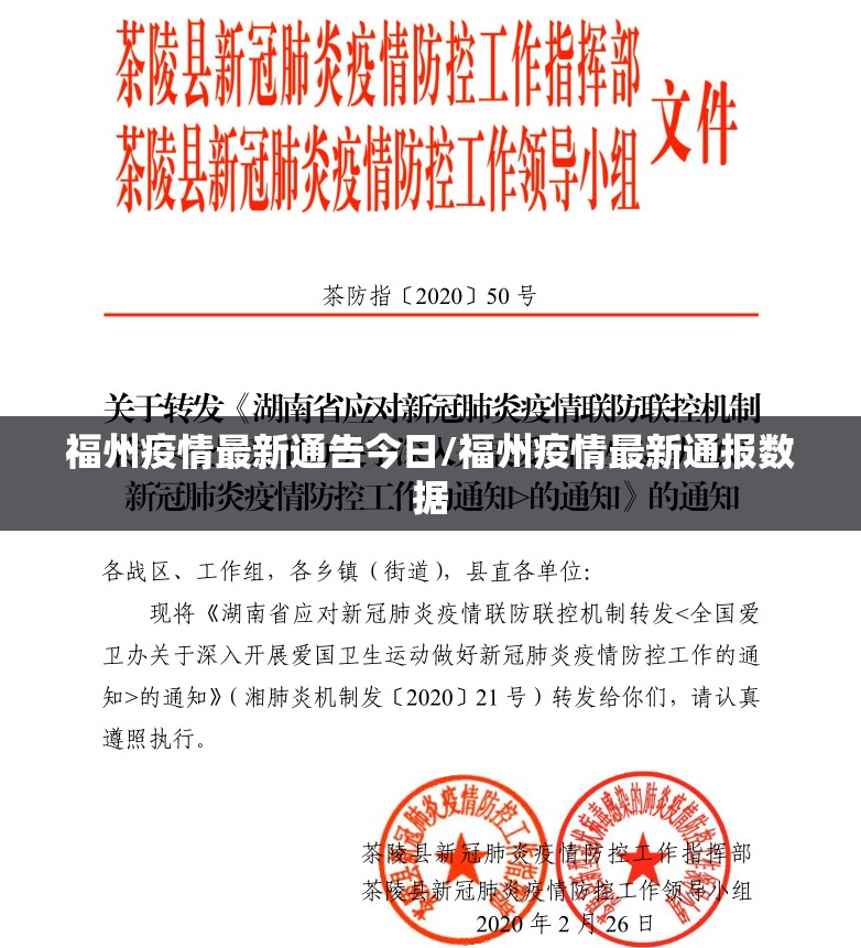 福州疫情最新通告今日/福州疫情最新通报数据