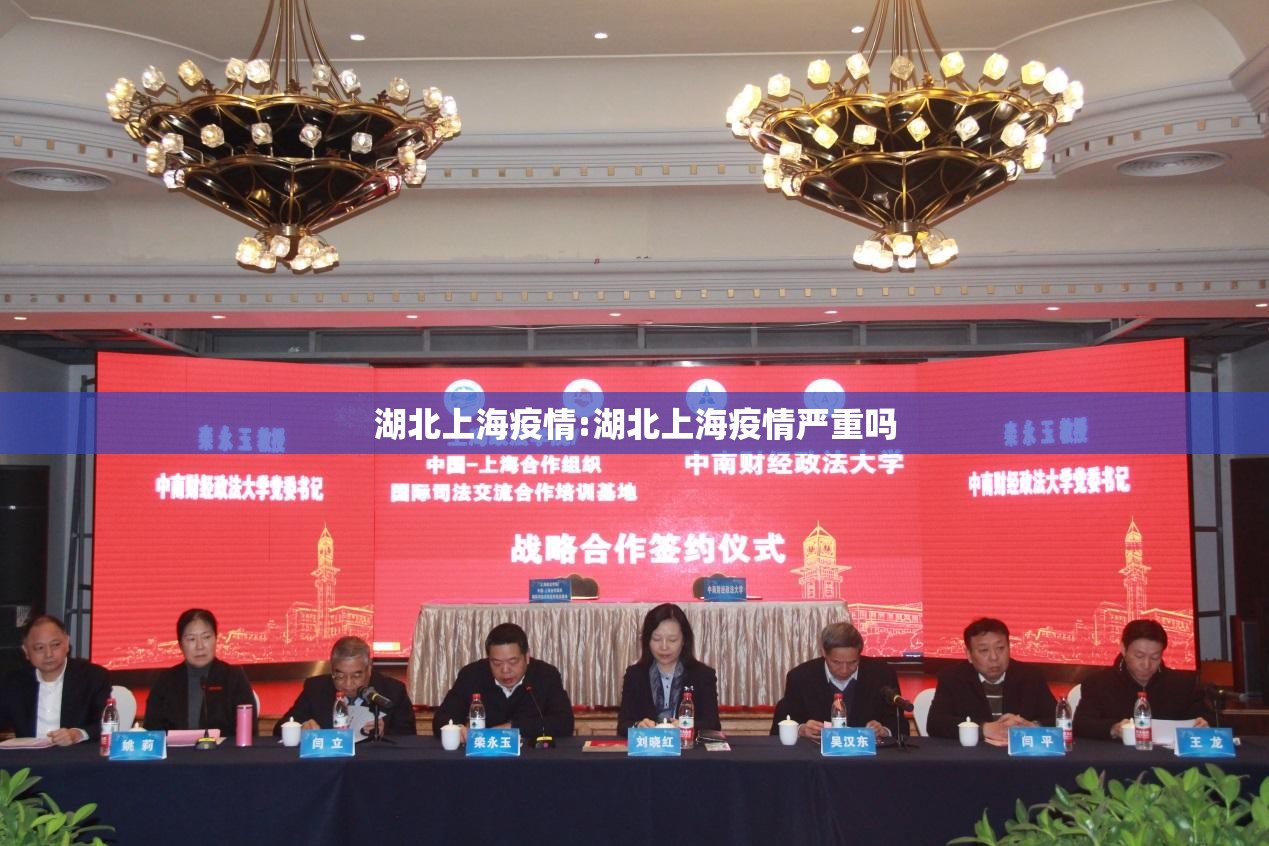 湖北上海疫情:湖北上海疫情严重吗