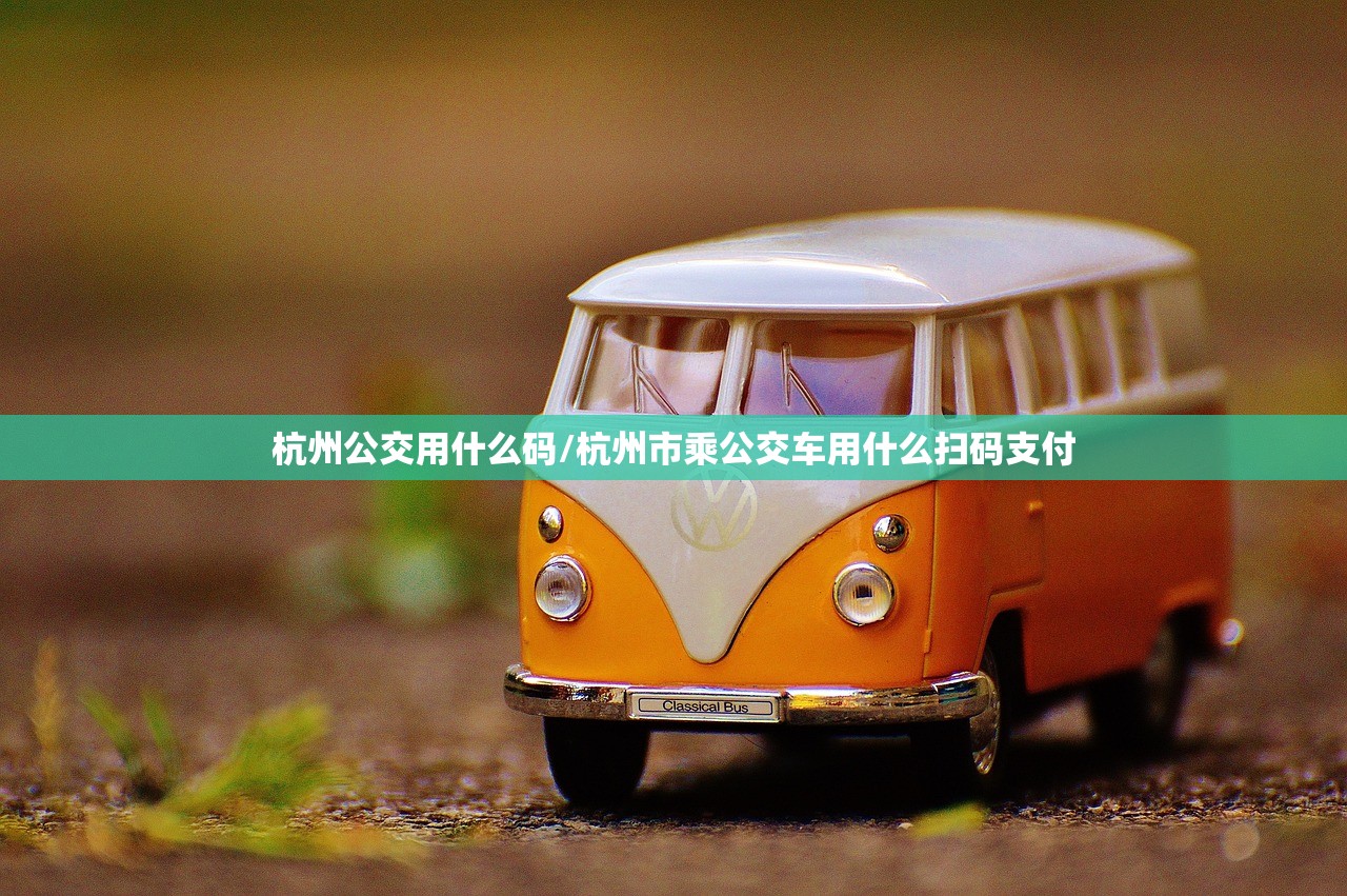 杭州公交用什么码/杭州市乘公交车用什么扫码支付