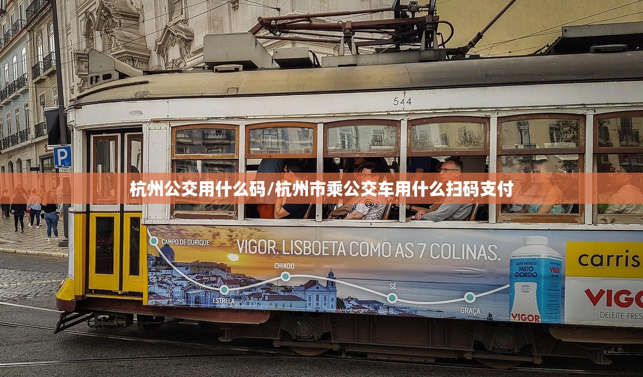 杭州公交用什么码/杭州市乘公交车用什么扫码支付
