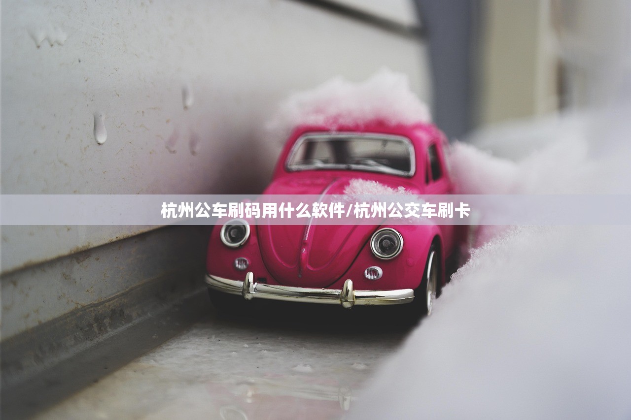 杭州公车刷码用什么软件/杭州公交车刷卡