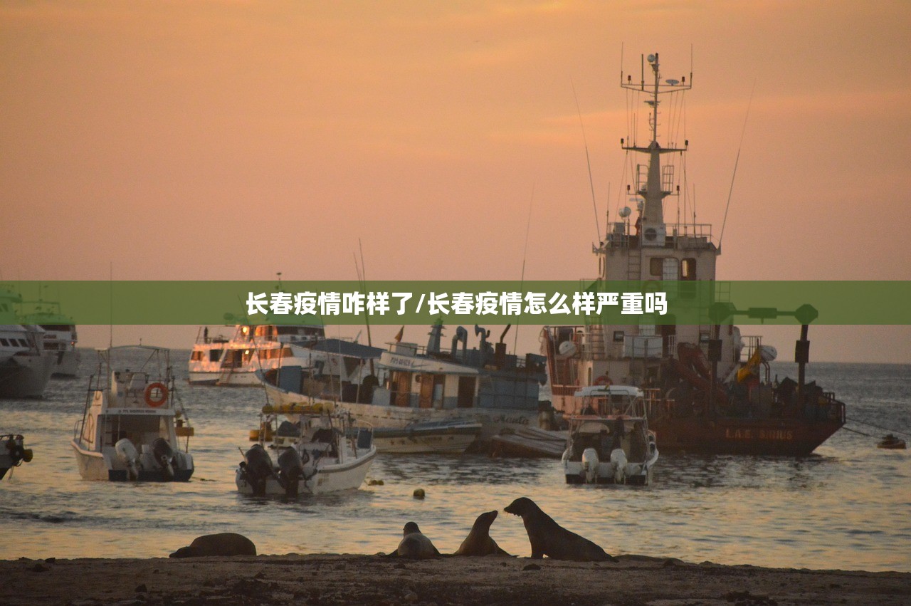 长春疫情咋样了/长春疫情怎么样严重吗