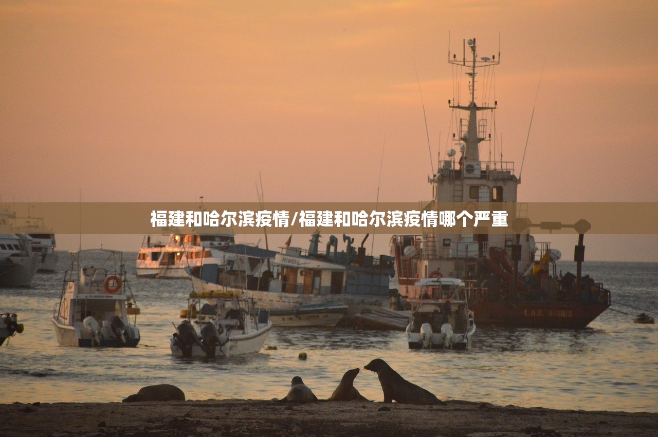 福建和哈尔滨疫情/福建和哈尔滨疫情哪个严重