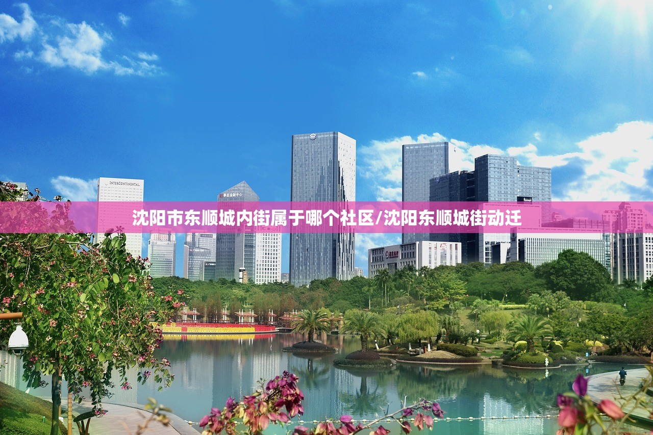 沈阳市东顺城内街属于哪个社区/沈阳东顺城街动迁