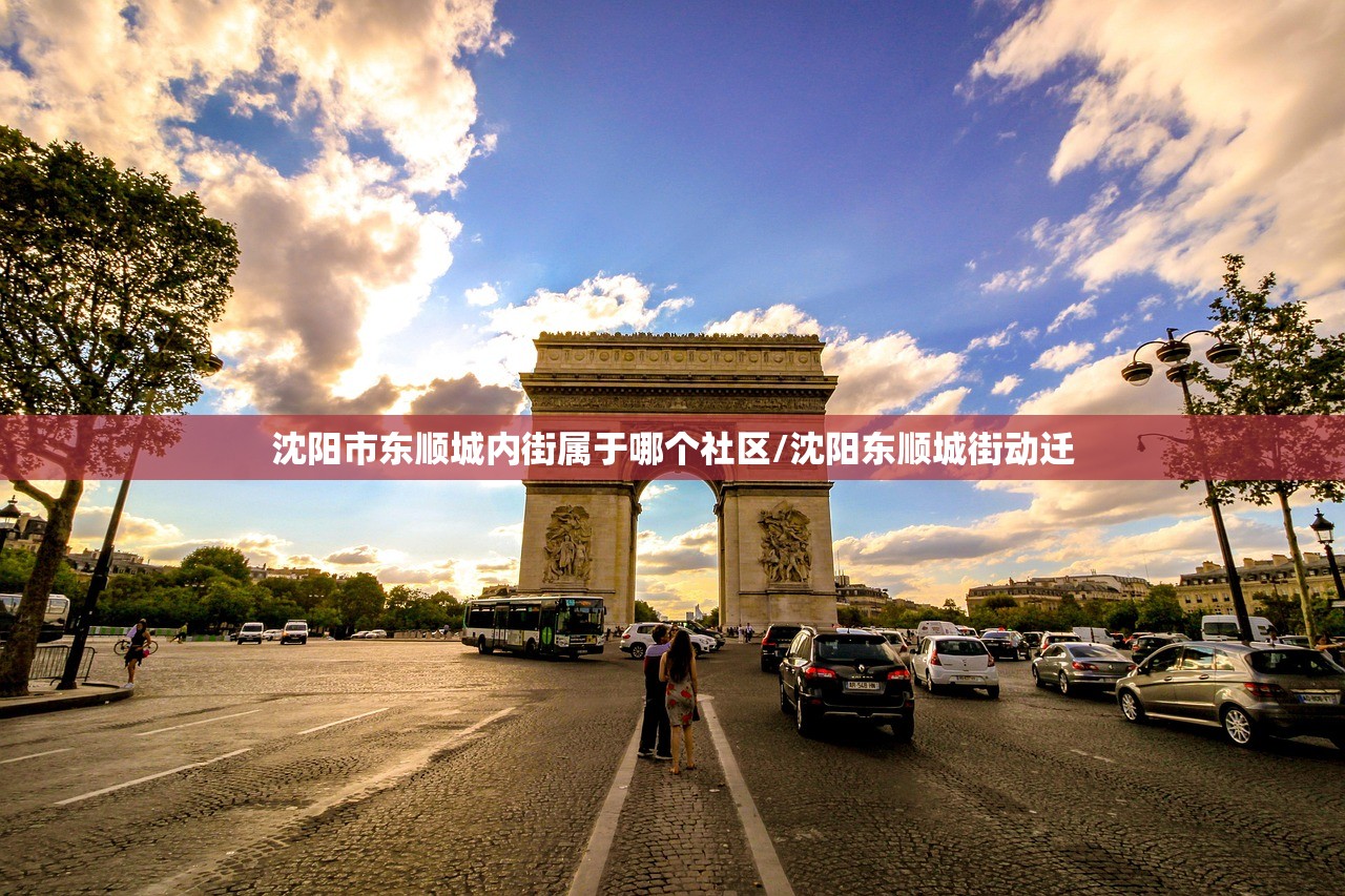 沈阳市东顺城内街属于哪个社区/沈阳东顺城街动迁