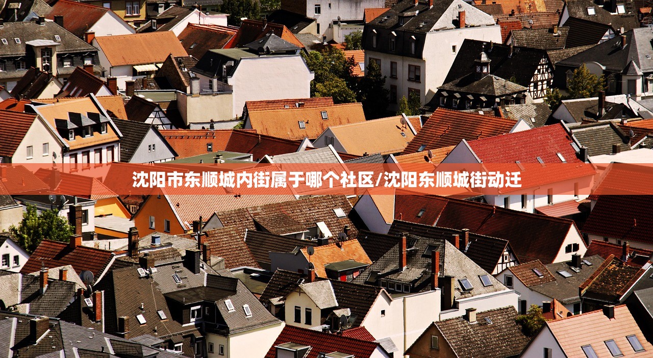 沈阳市东顺城内街属于哪个社区/沈阳东顺城街动迁