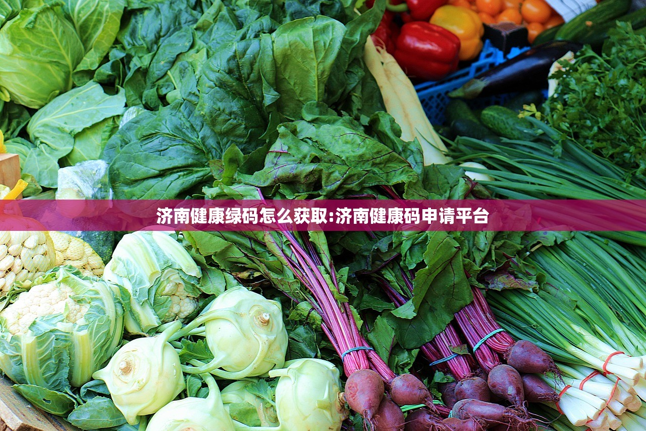 济南健康绿码怎么获取:济南健康码申请平台