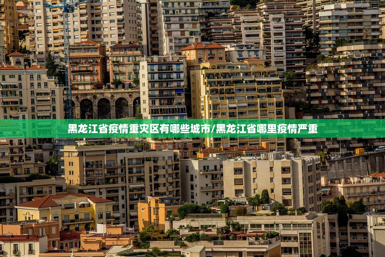 黑龙江省疫情重灾区有哪些城市/黑龙江省哪里疫情严重