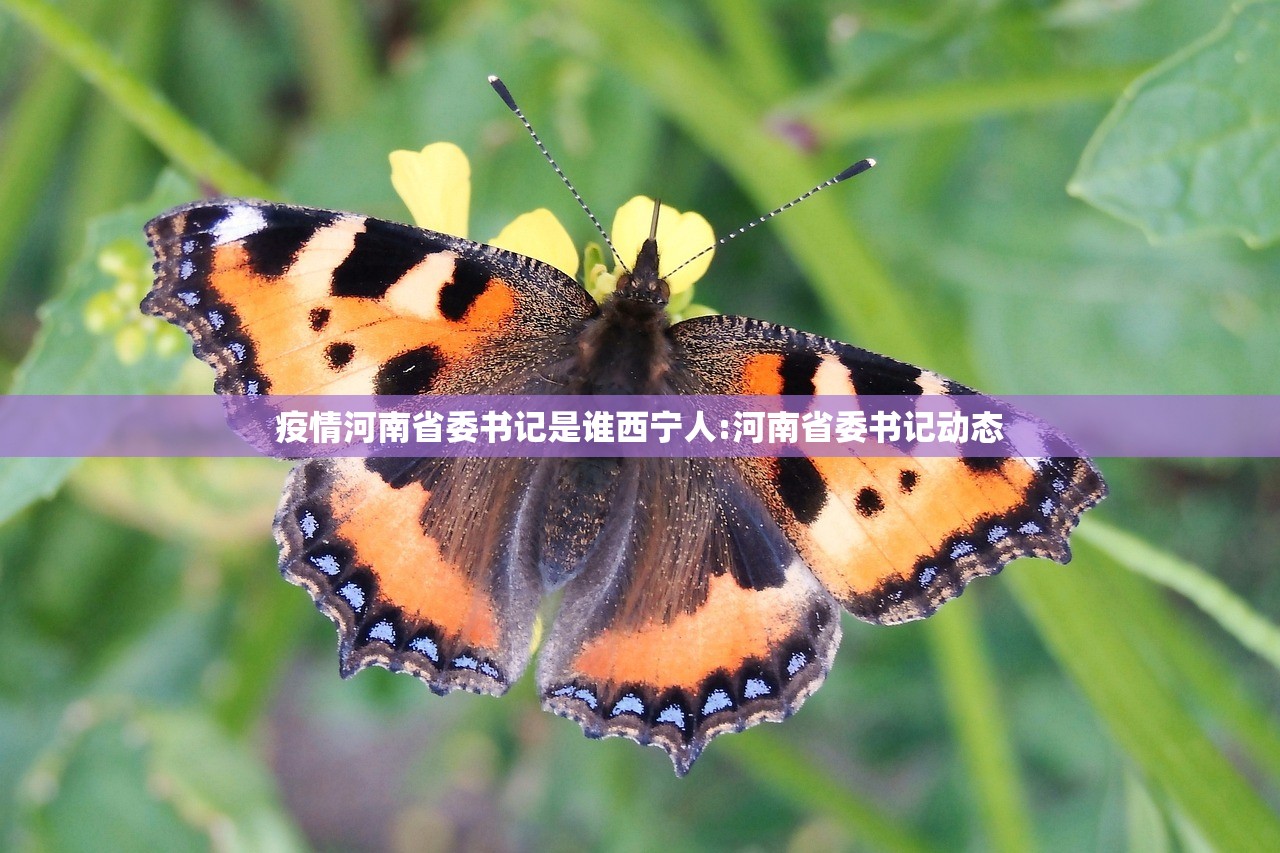 疫情河南省委书记是谁西宁人:河南省委书记动态