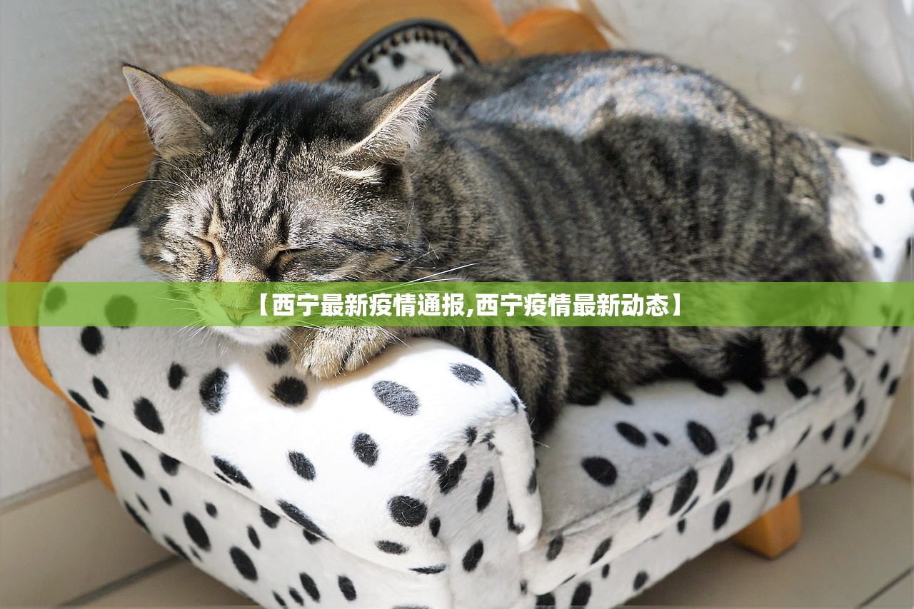 【西宁最新疫情通报,西宁疫情最新动态】