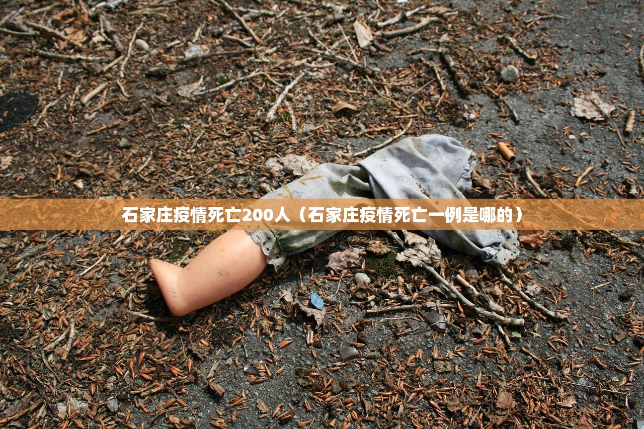 石家庄疫情死亡200人（石家庄疫情死亡一例是哪的）