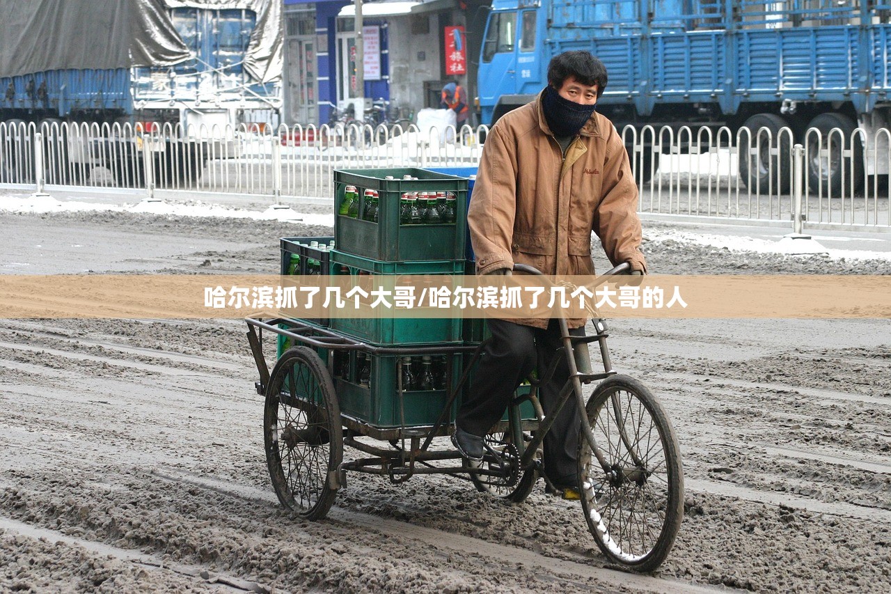 哈尔滨抓了几个大哥/哈尔滨抓了几个大哥的人