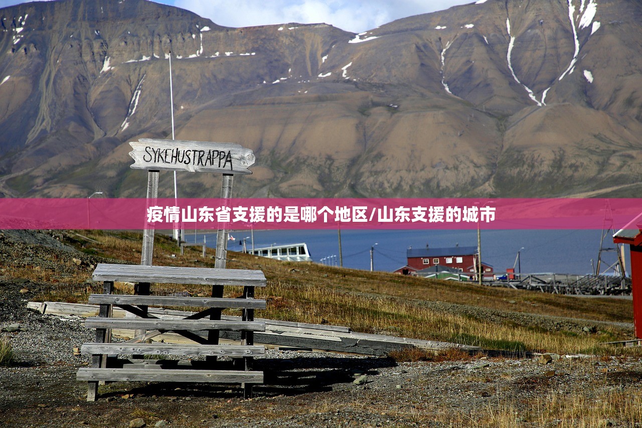 疫情山东省支援的是哪个地区/山东支援的城市