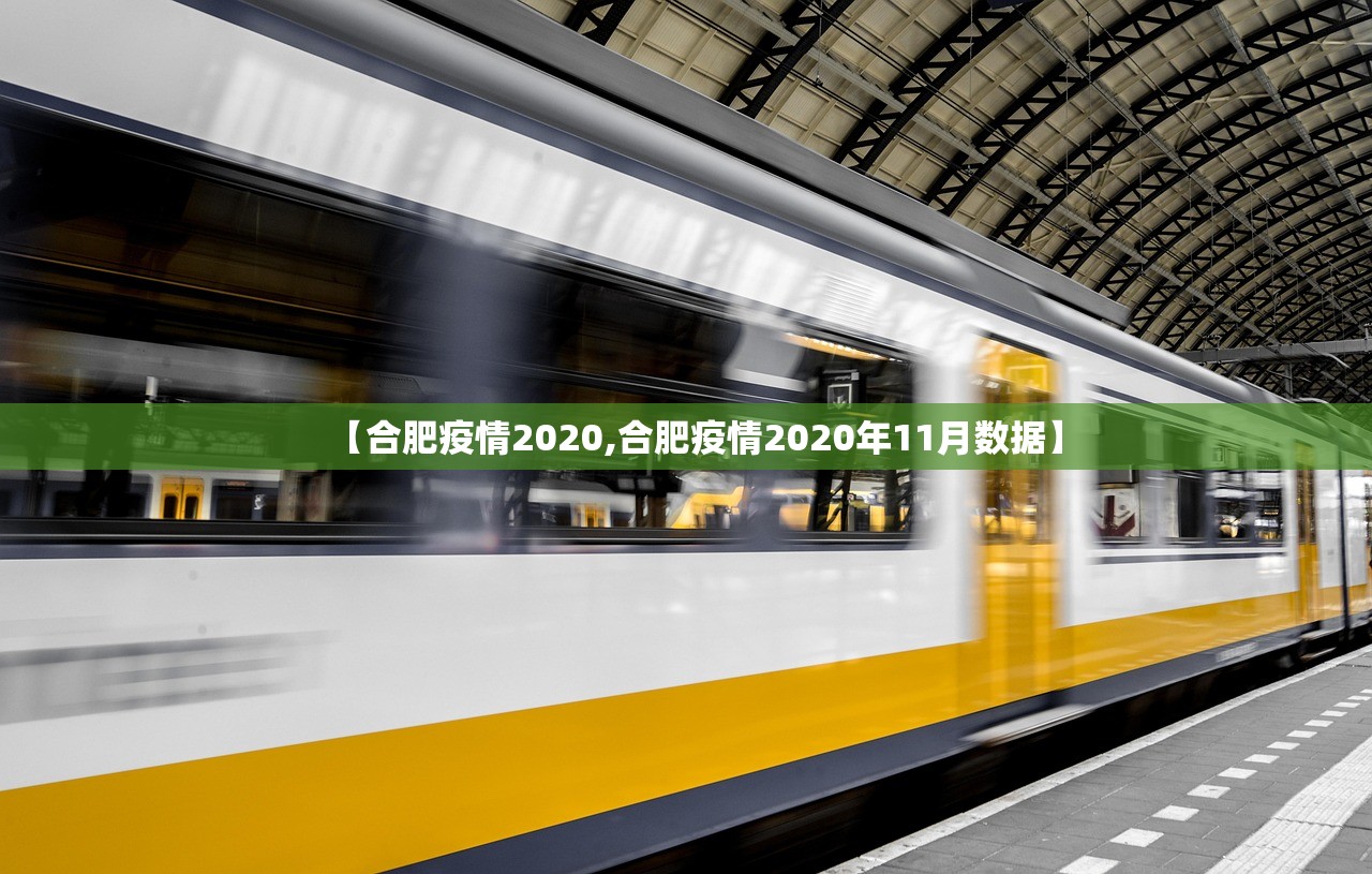 【合肥疫情2020,合肥疫情2020年11月数据】
